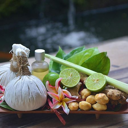 Villa Jj And Spa Ubud Kültér fotó
