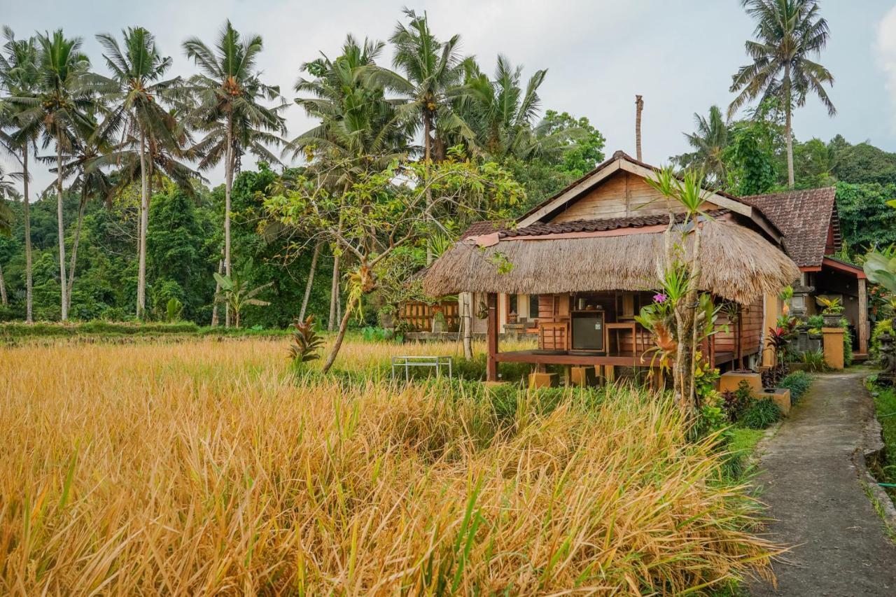Villa Jj And Spa Ubud Kültér fotó